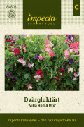 Luktärt, Dvärg-, Villa Roma Mix - Lathyrus odoratus Villa Roma Mix
