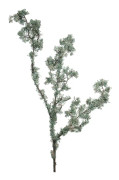 Mosskvist 85cm