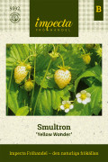 Smultron, Yellow Wonder - Fragaria vesca Yellow Wonder
