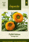 Solros, Orange Sun - Helianthus annuus Orange Sun
