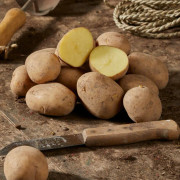 Sättpotatis Decibel (Storlek: 1kg)