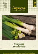 Purjolök Bleu de Solaise - Allium ampeloprasum (Porrum-gr.) Bleu de Solaise