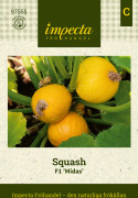 Squash, F1 Midas - Cucurbita pepo (Zucchini-gr) F1 Midas