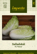 Salladskål F1 Forco - Brassica rapa (Pekinensis-gr.) Forco