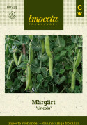 Märgärt Lincoln - Pisum sativum Lincoln