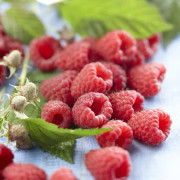 Hallon - Rubus idaeus Heritage (Grand Heritage) (Storlek: C2)