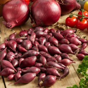 Sättlök Röd Red Baron Ekologisk - Allium cepa (Storlek: 250g)