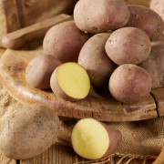 Sättpotatis Alouette Ekologisk (Storlek: 1kg)