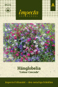 Lobelia, Häng-, Colour Cascade - Lobelia erinus pendula Colour Cascade