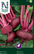 Rödbeta D´ Egypte - Beta vulgaris D´ Egypte