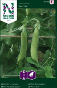 Brytsockerärt Nairobi - Pisum sativum Nairobi