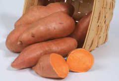 Potatisplantor