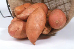 Sötpotatis, Stickling 3-pack - Ipomoea batatas Beauregard