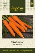 Morot Höst Maestro F1 - Daucus carota F1 Maestro