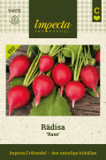Rädisa Raxe, Ekologisk - Raphanus sativus Raxe