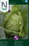 Savojkål Convoy F1 - Brassica oleracea Convoy F1