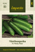 Växthusgurka Party Time F1 - Cucumis sativus F1 Party Time