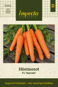 Morot Höst Nairobi F1 - Daucus carota F1 Nairobi