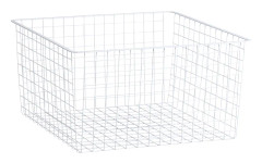 Standard 55