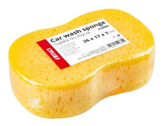 AMiO 02664 Bilsvamp
