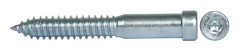 Träskruv TX30