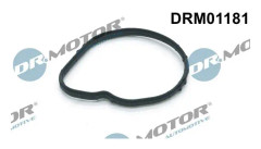 Packning, termostat - ford, ford usa, jaguar, land rover, mazda, morgan, volvo
