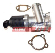 FAST FT60236 EGR-ventil