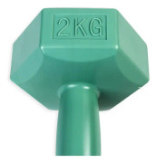 ASG Handweight 2 kg vinyl