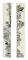 Faction Skis Prodigy 2 Capsule Alpinskidor Guld 159