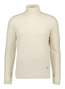 Alpaca Wool Turtle Neck