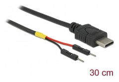 Delock - USB-/strömkabel - 24 pin USB-C (hane) till 2-stifts USB-kontakt (hane) separat - 30 cm - svart