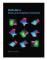 MATLAB for Brain and Cognitive Scientists