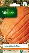 Atlantic Giant pumpa - VILMORIN - Frön - Grönsaker - Grönsaksträdgård och fruktträdgård