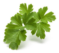 Click & Grow Smart Garden refill Plain Parsley 3pcs