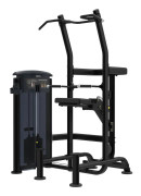Impulse Weight Assisted Chin/Dip It9520, Power tower