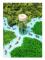 Spion Sensory Bottle, Jungle