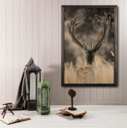 Deer In The Field Painting/Foto Grå/Beige