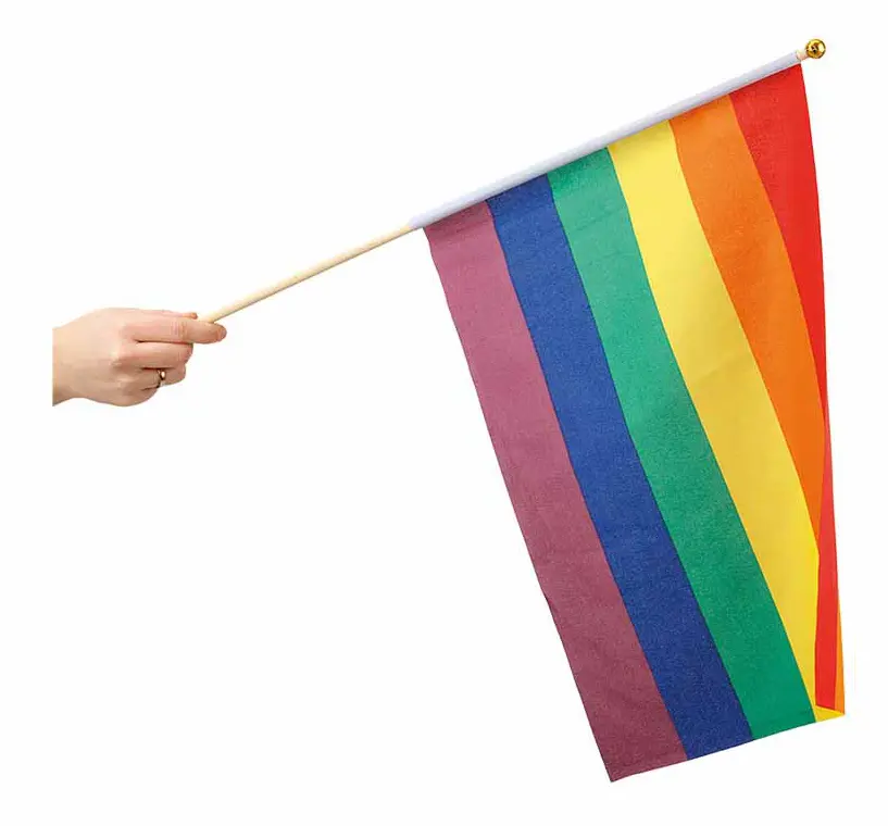 Handflagga Pride