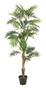 Europalms - Parlor palm, artificial plant, 150cm