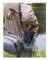 Lifestraw Hopfällbar Vattenfilterflaska Peak Series 1l Grå