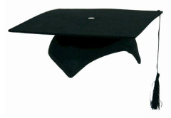 Hatt professor