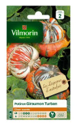 Pumpa Giraumon Turban - VILMORIN - Frö - Grönsaksväxt - Fint och sött kött - Färgglada färger