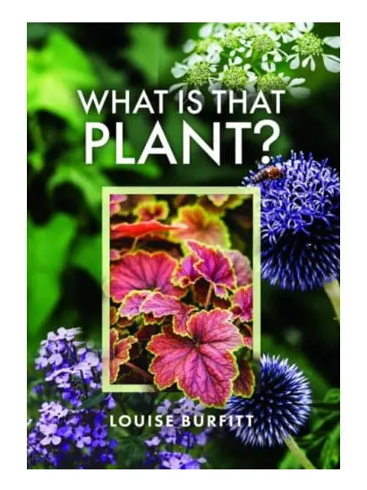 What is that Plant?
