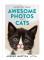 How to Take Awesome Photos of Cats
