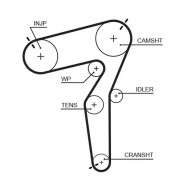 Kamrem Gates Powergripâ® 5684XS - alfa romeo, fiat, jeep - OE 55273968, 55281164, 68093239AA