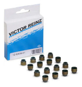 REINZ 12-52939-01 Packningssats, ventiler