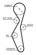 Kamrem - citroën, ds, fiat, ford, ford usa, opel, peugeot, toyota - OE 0816 K8, 0816.K0, 0816.K5
