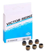 REINZ 12-31306-13 Packningssats, ventiler