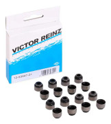 Packningssats, ventiler REINZ 12-53547-01