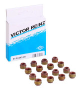 Packningssats, ventiler REINZ 12-29491-01